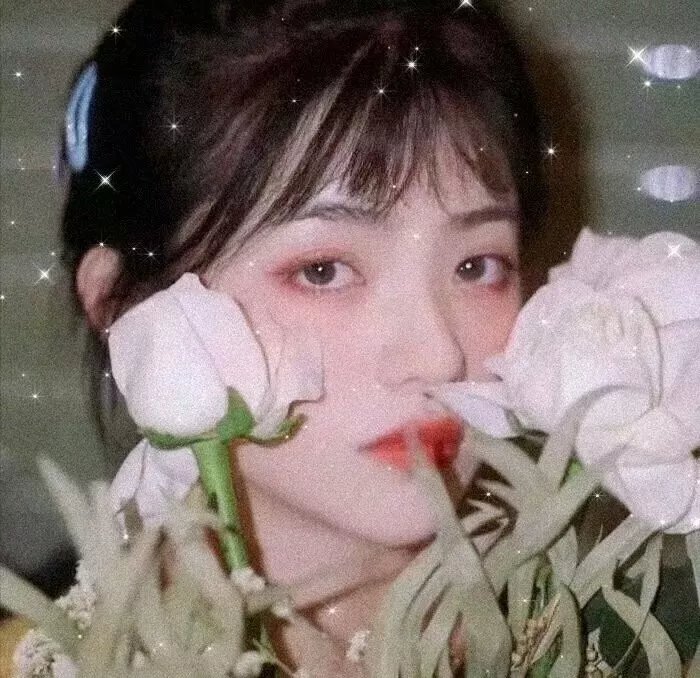 美丽的日子2018